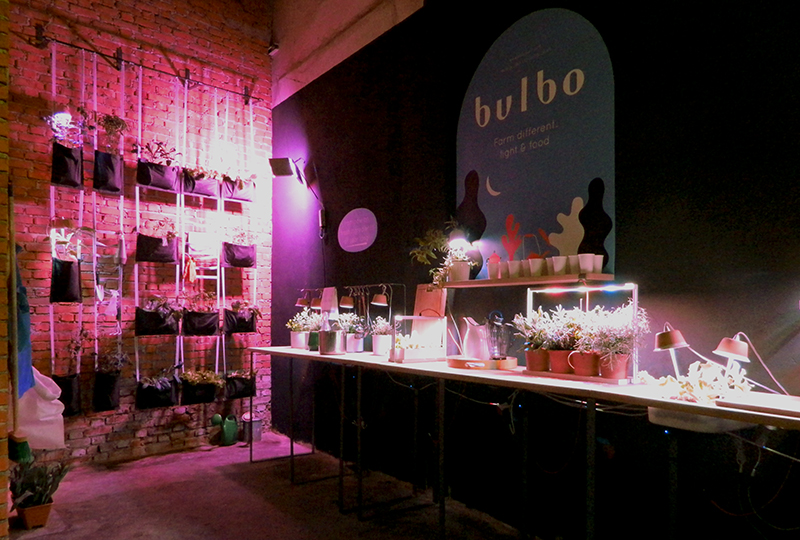 Bulbo_2013-®Bulbo_1